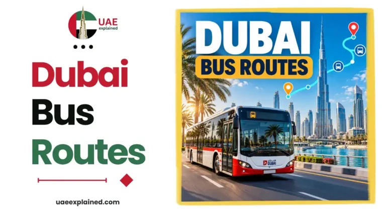 Dubai Bus Routes