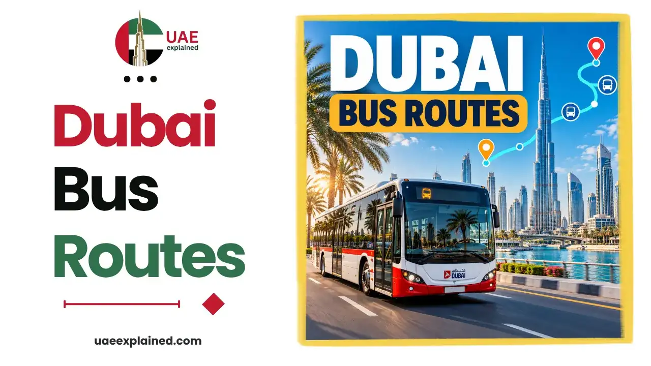 Dubai Bus Routes